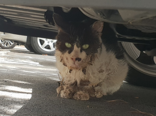 KakaoTalk_20190306_011054466.jpg