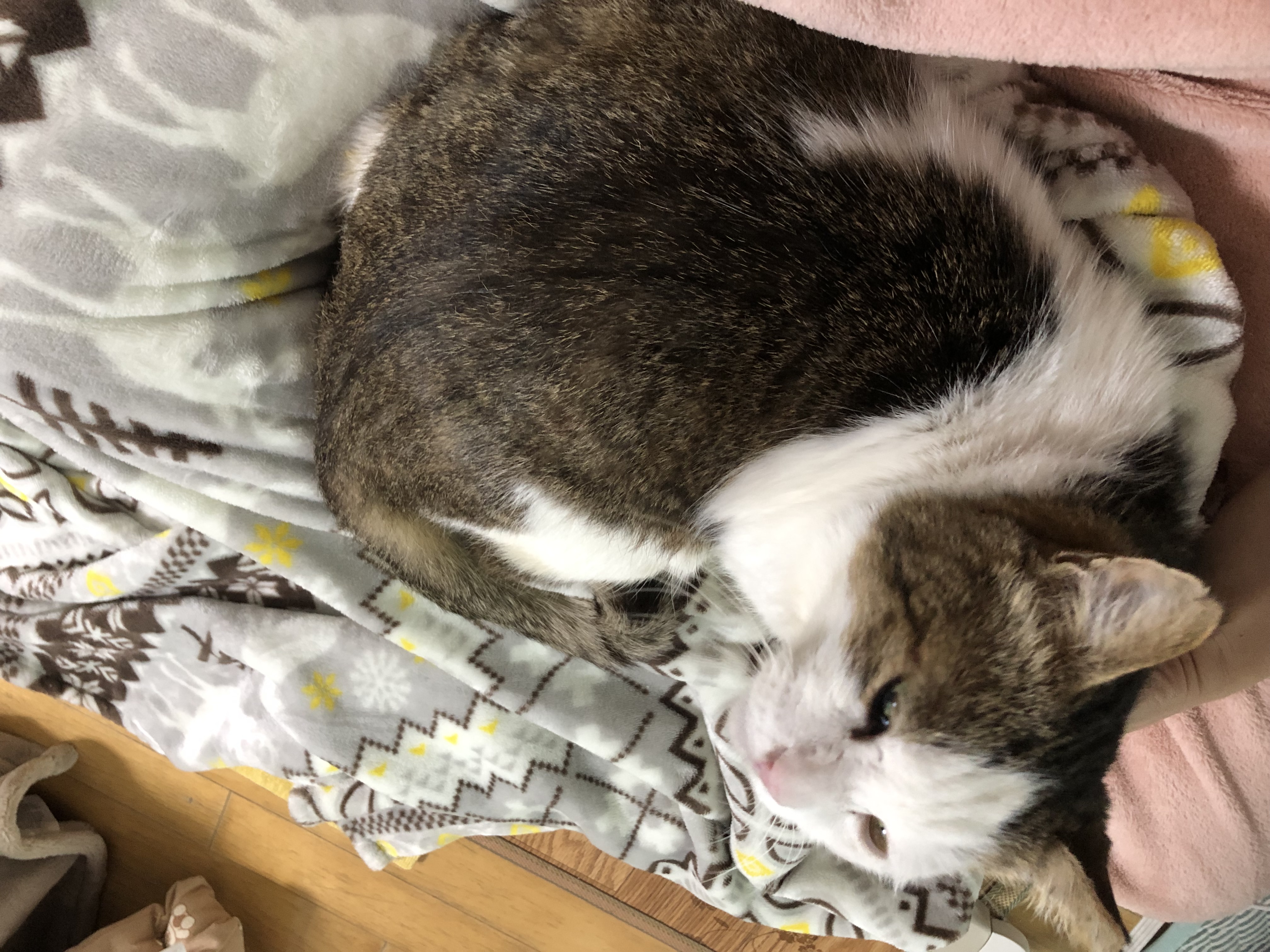 IMG_5555.jpeg