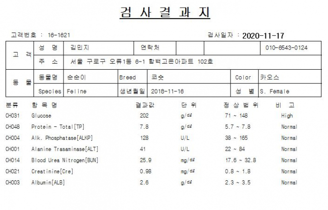 KakaoTalk_20201127_131905264.jpg