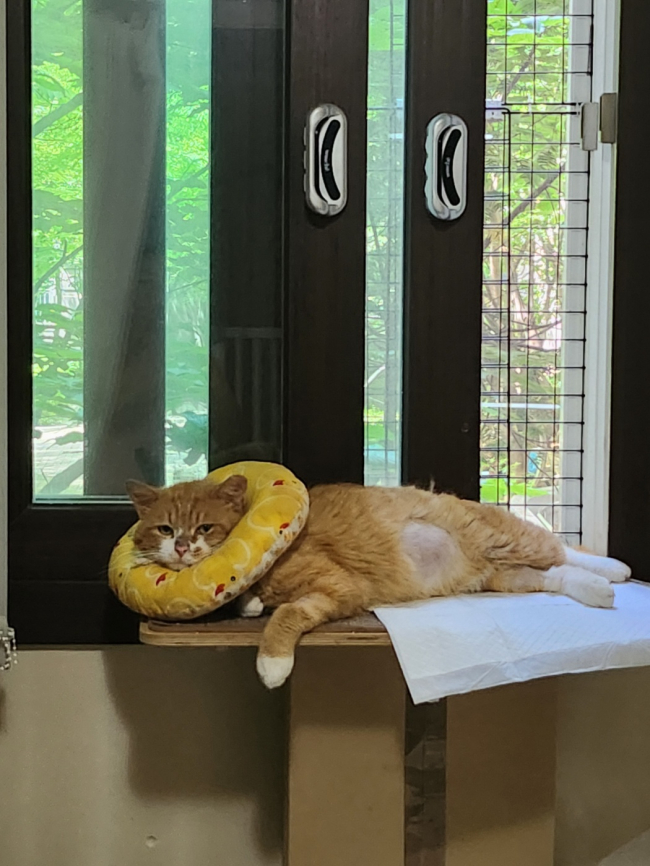 치료후4.jpg