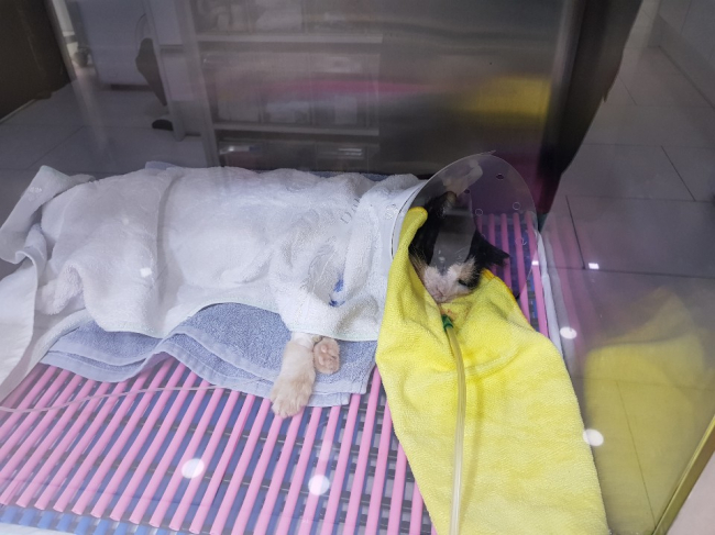 5. 회복중1.jpg