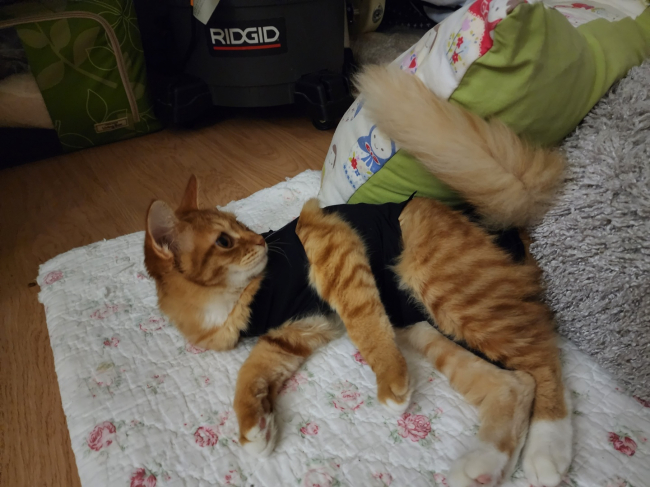 미오후.jpg