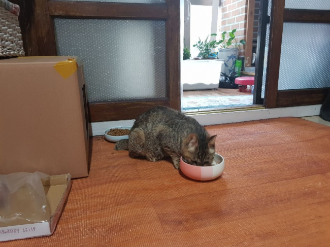 KakaoTalk_20190425_161245198.jpg