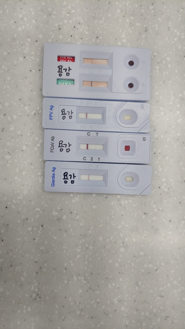 KakaoTalk_20210222_133801797_10.jpg
