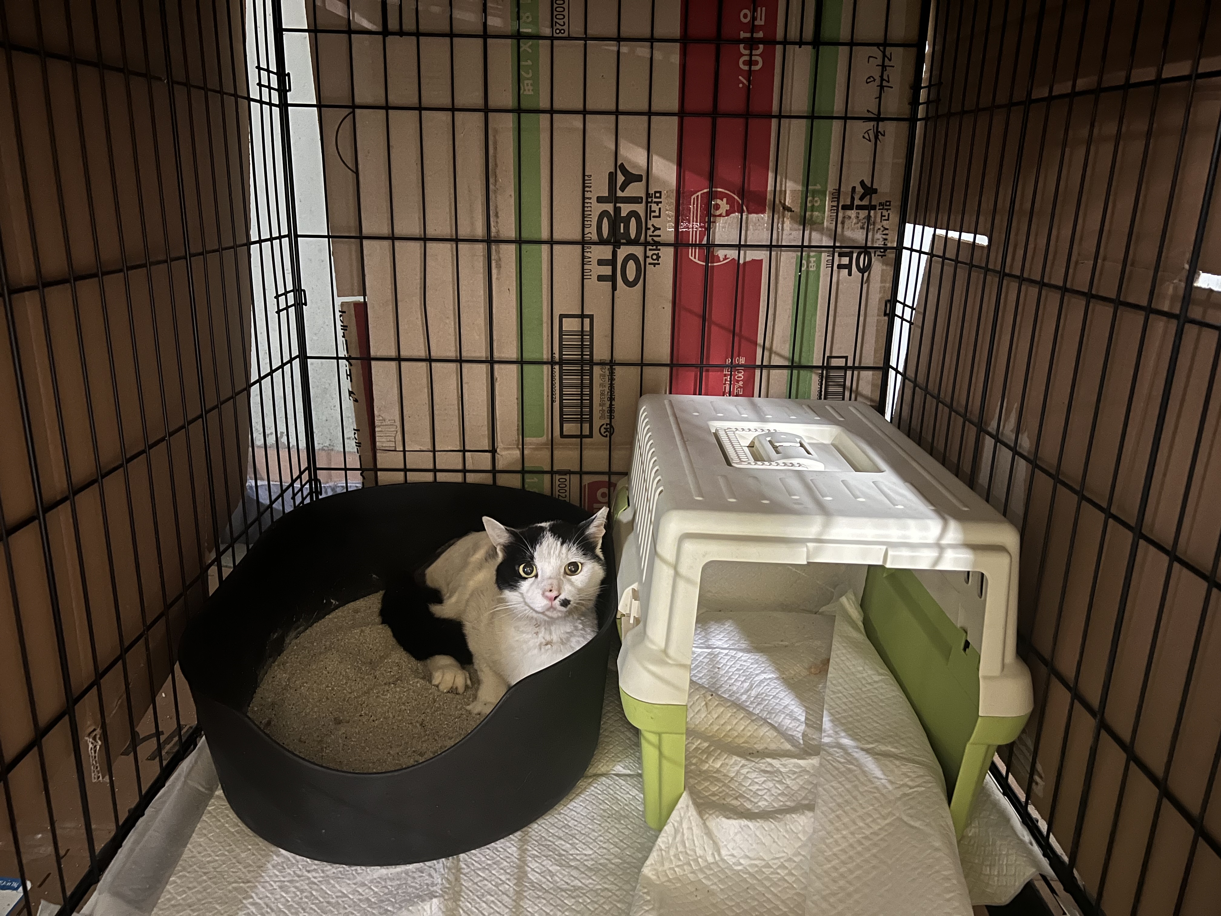 KakaoTalk_20250702_104543690_02.jpg
