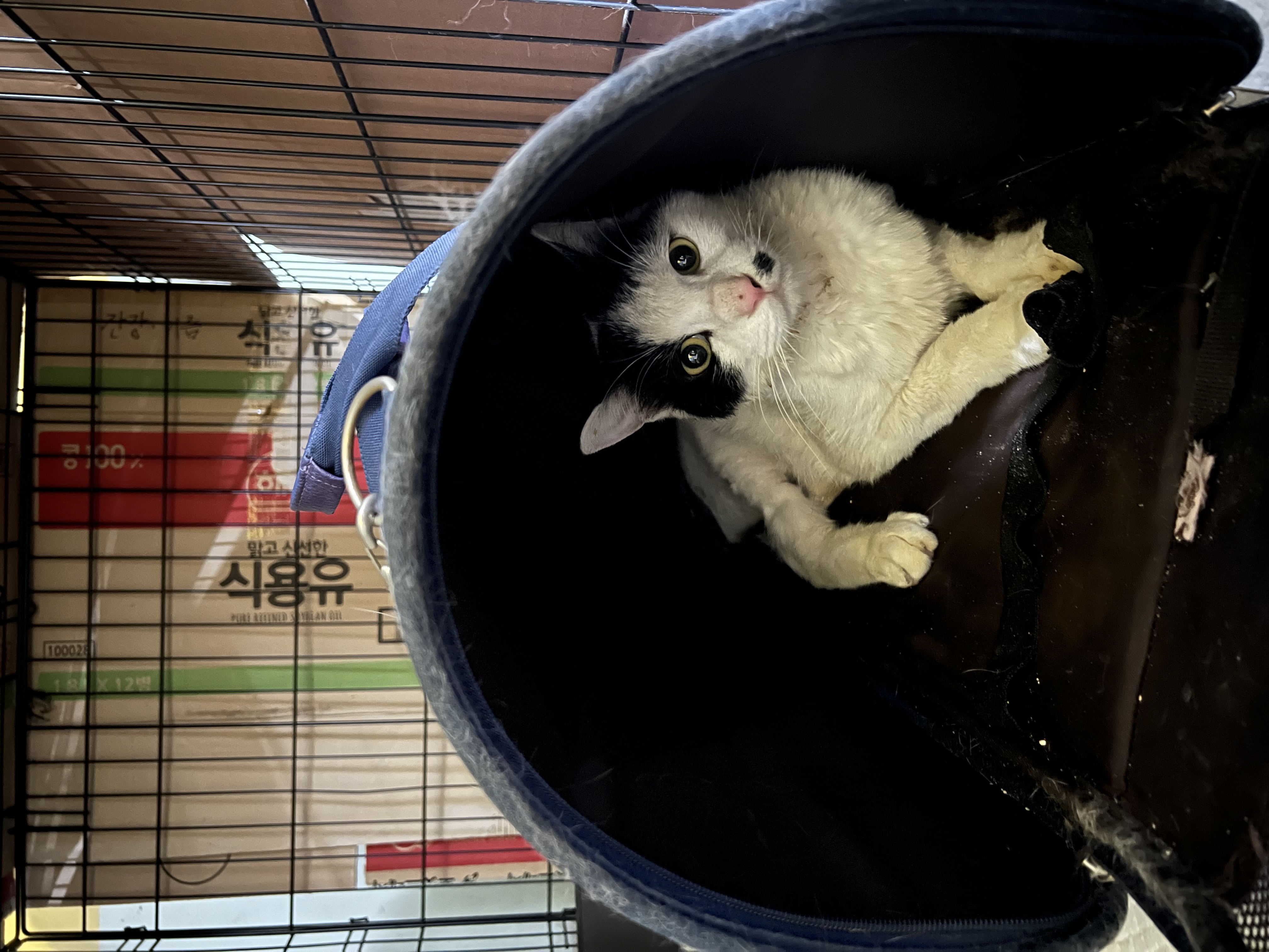 KakaoTalk_20250626_221516466.jpg