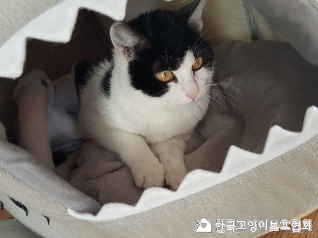 KakaoTalk_20180101_산1.jpg