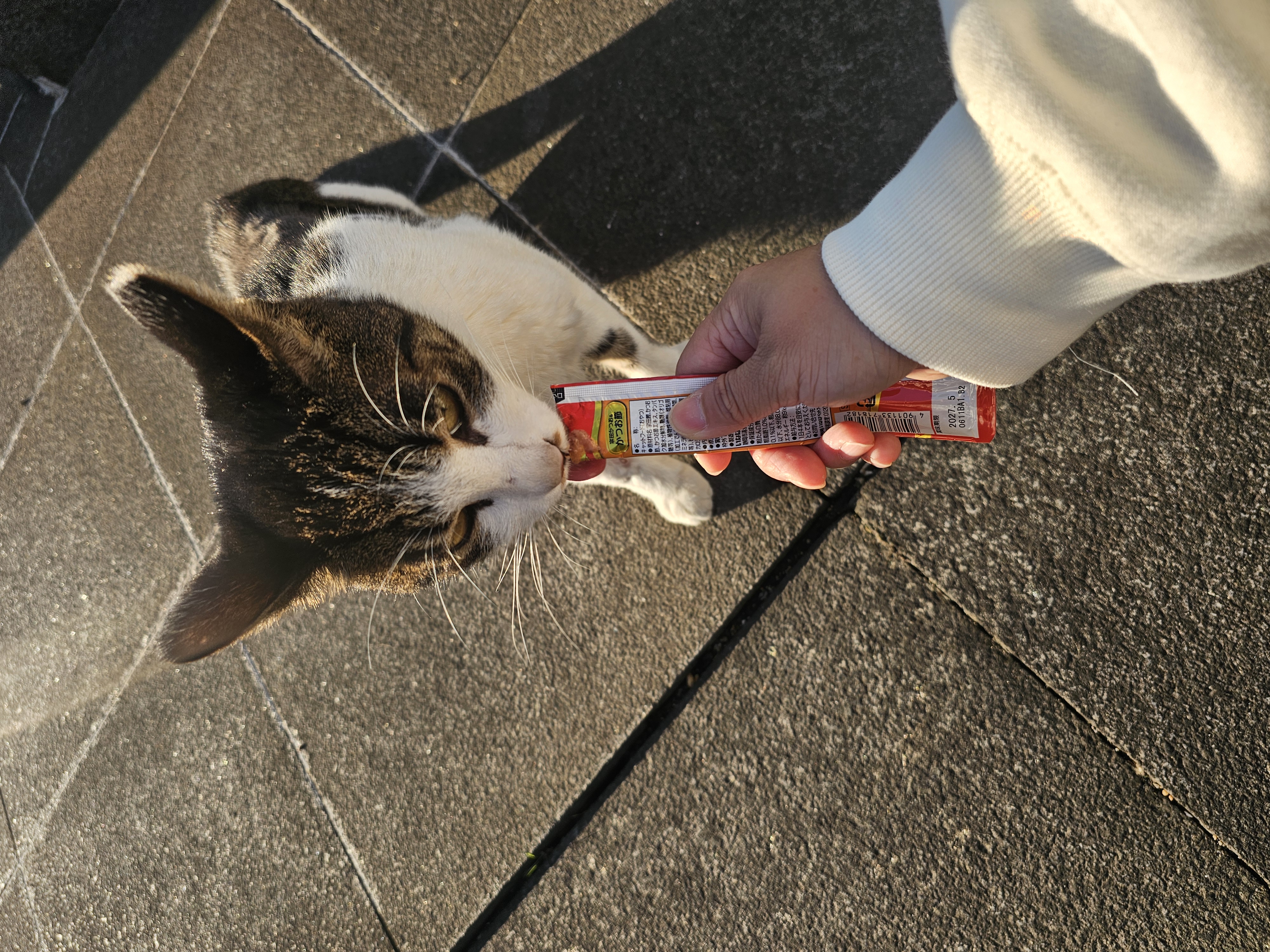 KakaoTalk_20251022_080714477.jpg