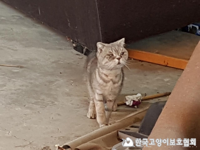 KakaoTalk_20180227_134021681.jpg