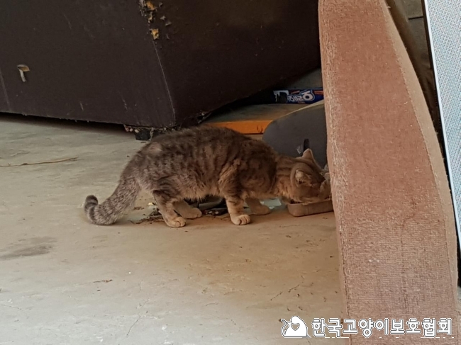 KakaoTalk_20180227_134022157.jpg