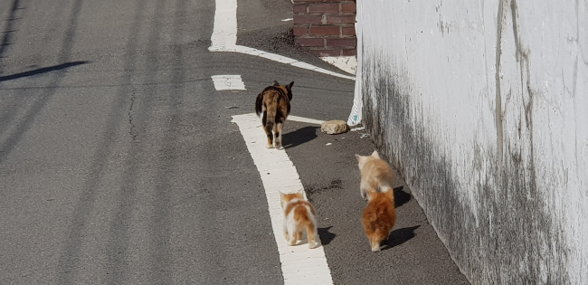 20181030_132509.jpg