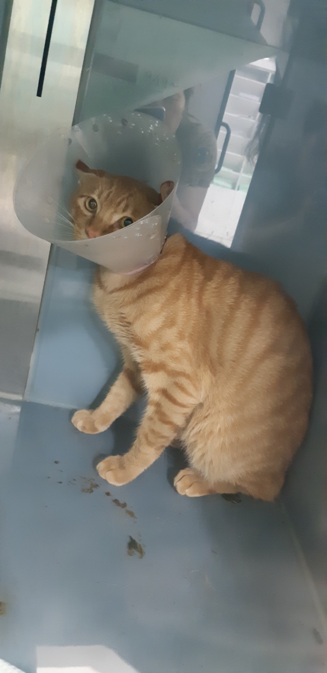 KakaoTalk_20180926_162923087.jpg