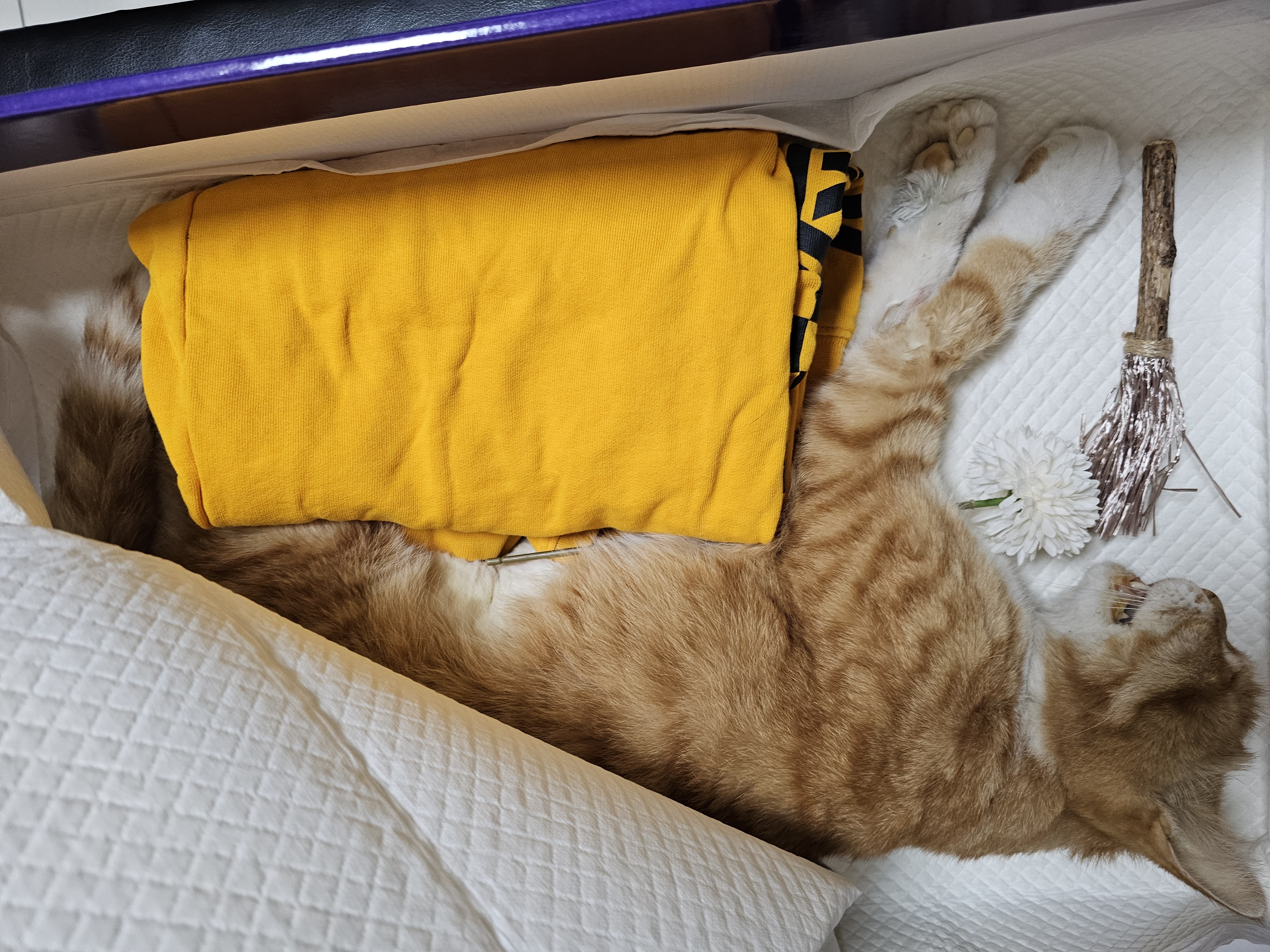 콘칩장례 (3).jpg