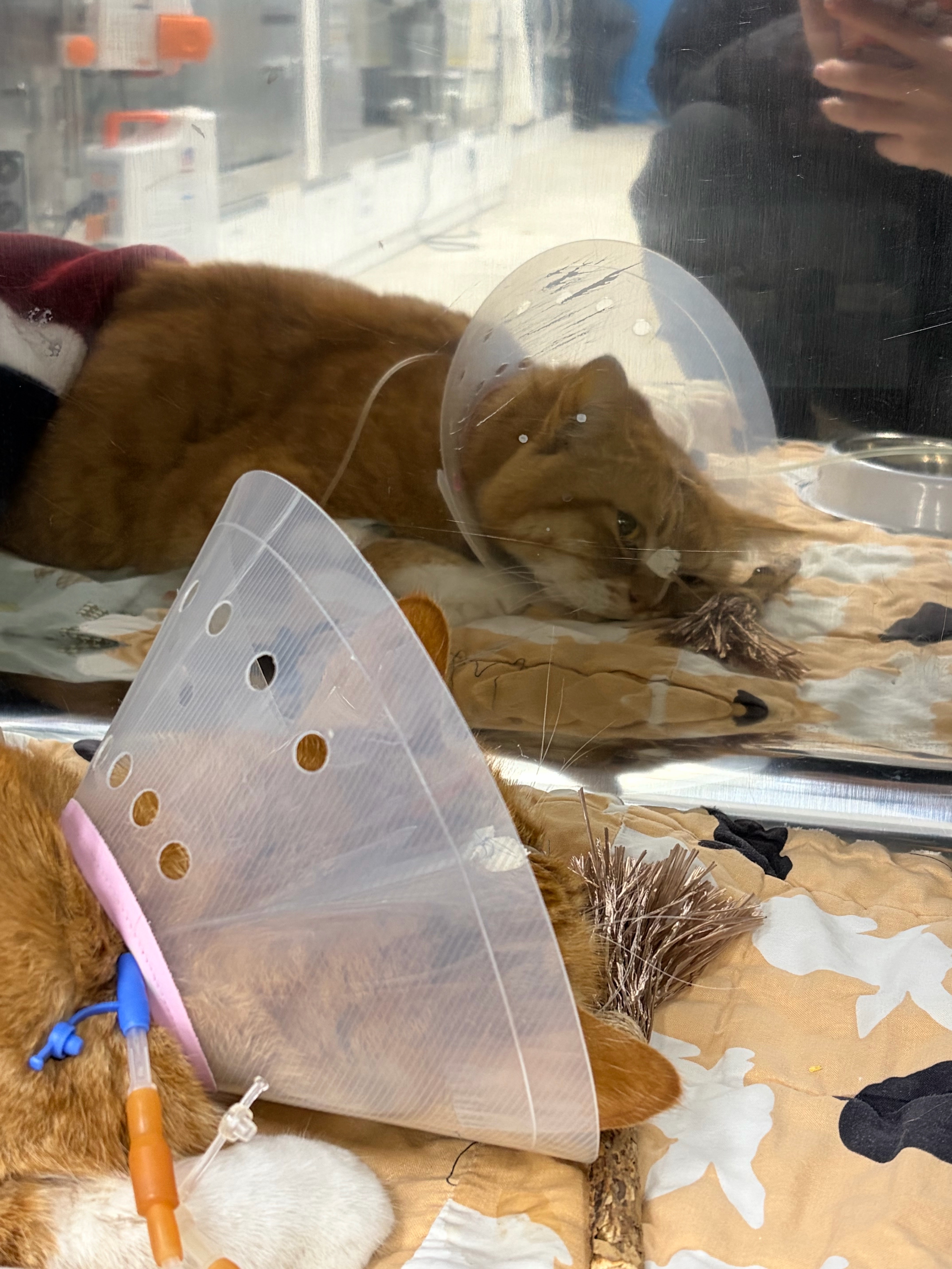 콘칩0302am (2).jpg