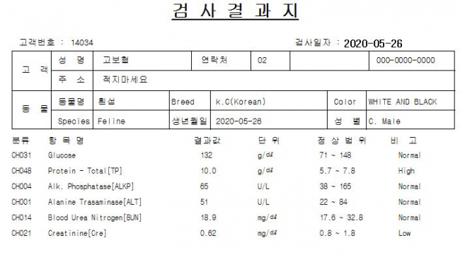 KakaoTalk_20200706_153415646.jpg