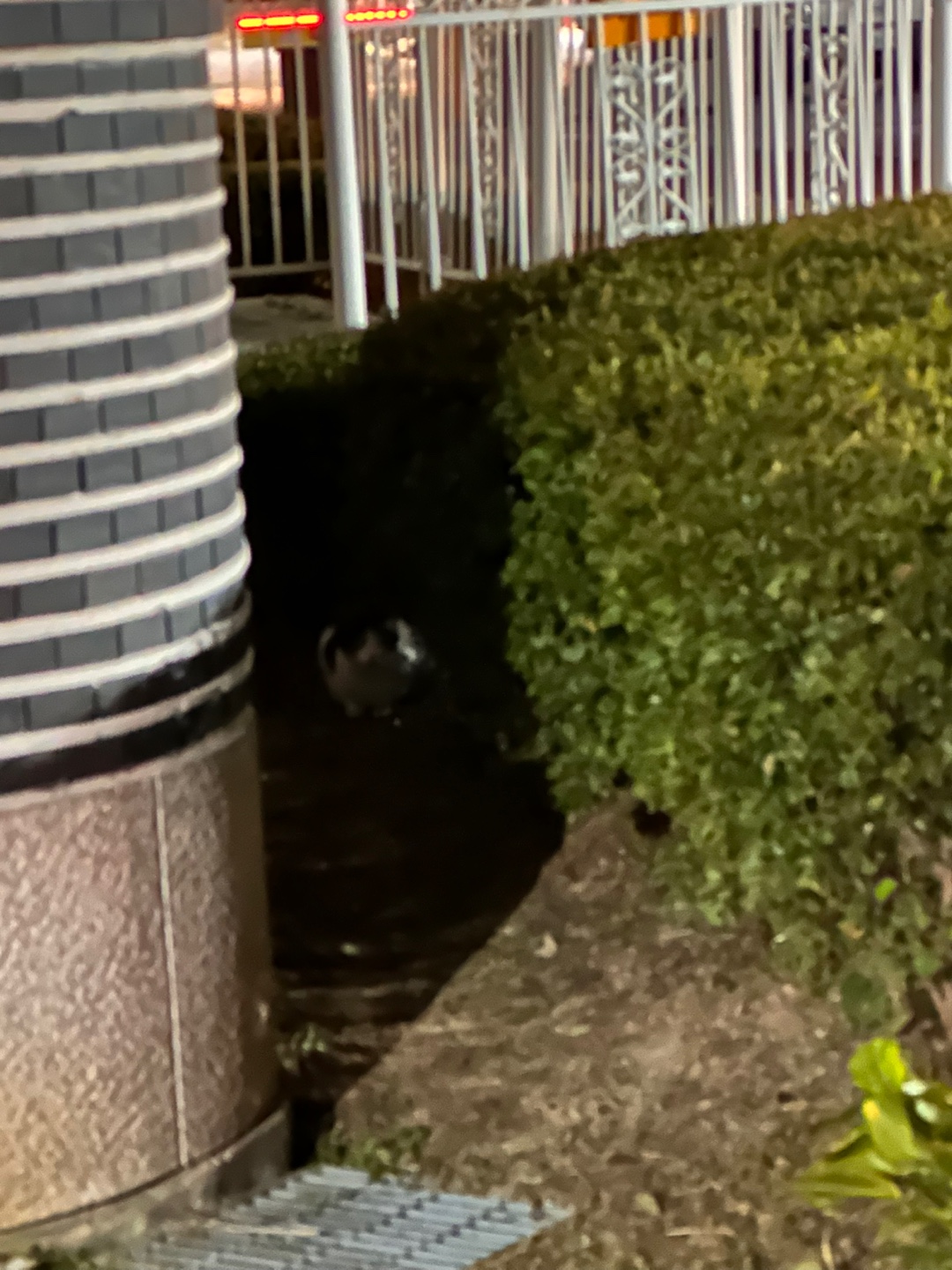 KakaoTalk_20251023_183903464.jpg