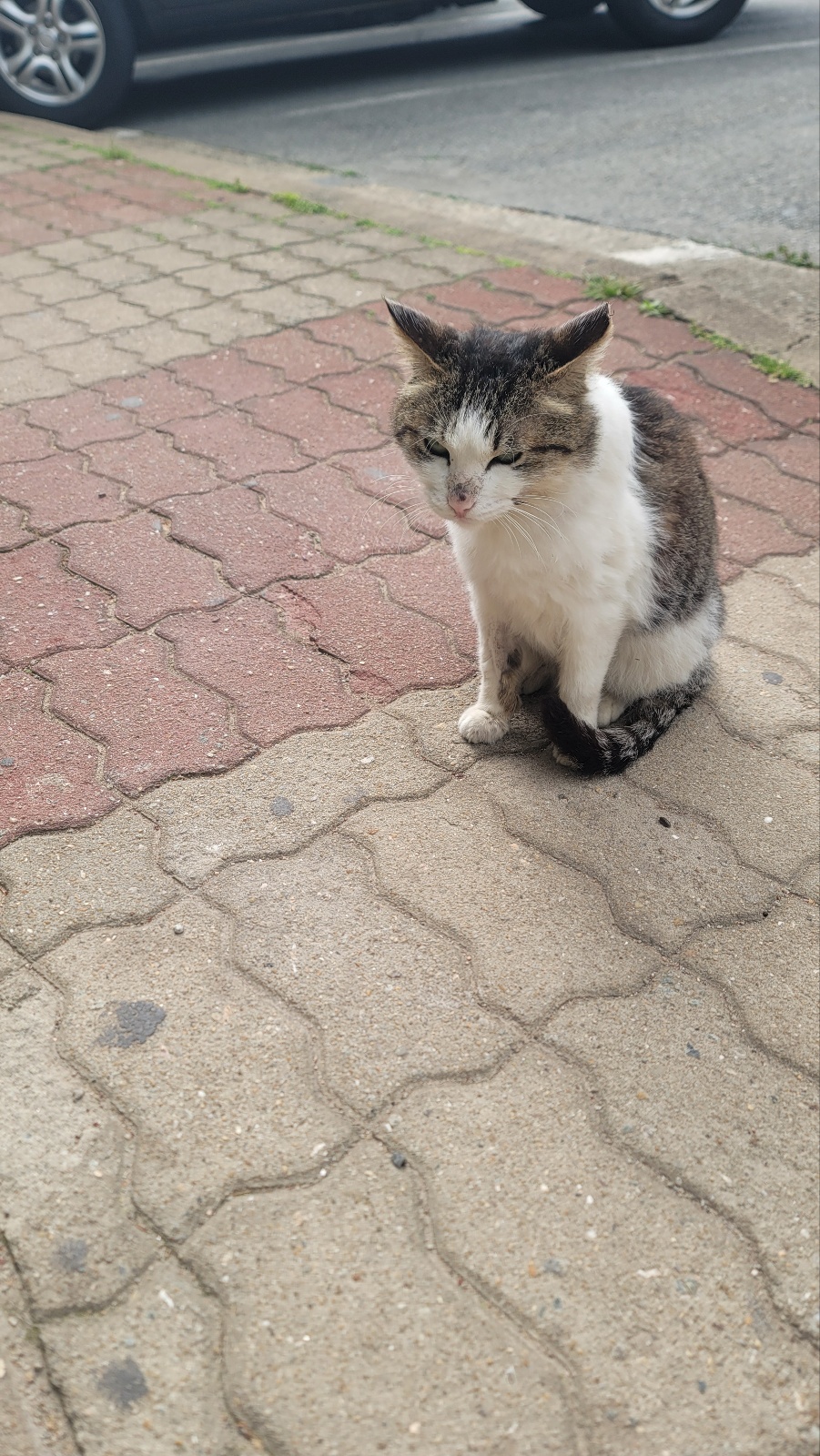 IMG_7941.jpeg