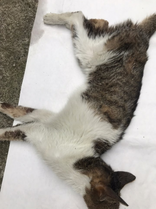 KakaoTalk_20190716_144814480.jpg