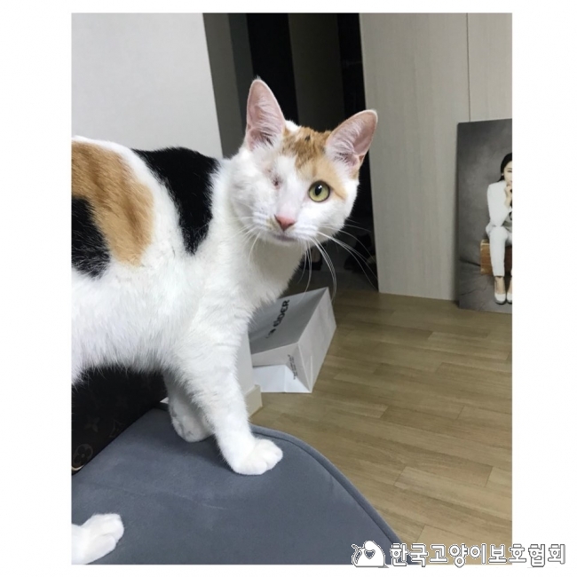 KakaoTalk_20180313_134949846.jpg