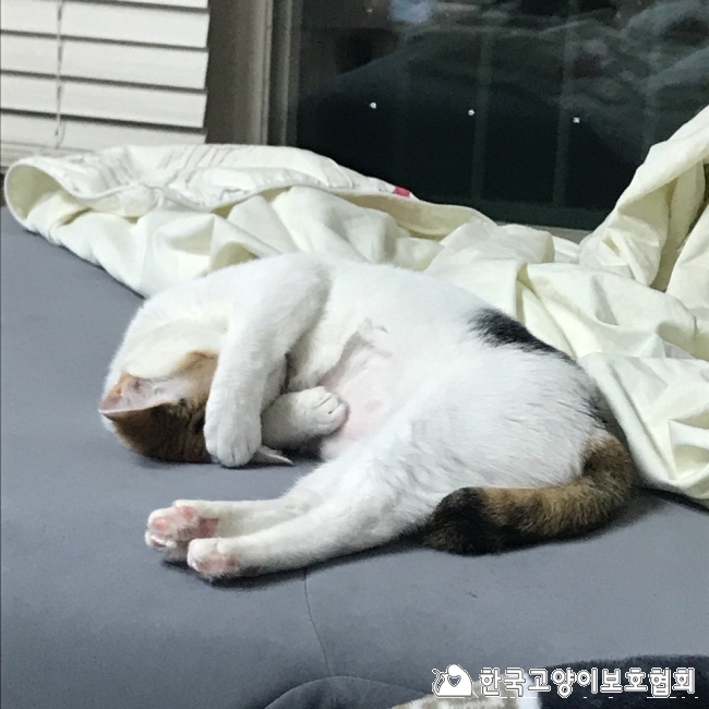 KakaoTalk_20180313_134946824.jpg