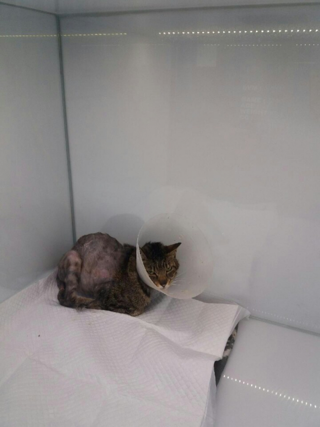KakaoTalk_20191127_152550249_01.jpg