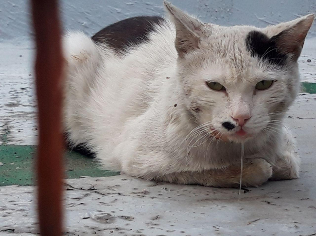 photo_2019-07-02_00-11-13.jpg