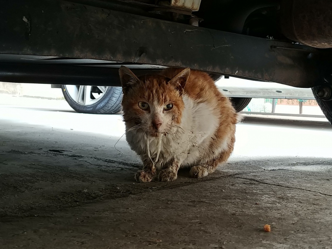치료전-1.jpg