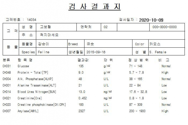 KakaoTalk_20201106_175151192_20.jpg