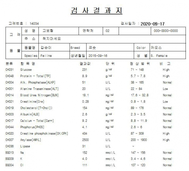 KakaoTalk_20201106_175151192_22.jpg