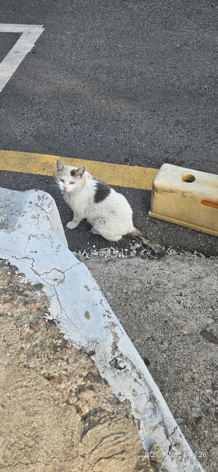 KakaoTalk_20250407_173130122.jpg