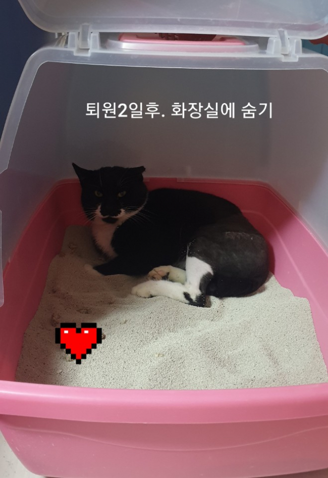KakaoTalk_20191229_171833566.jpg