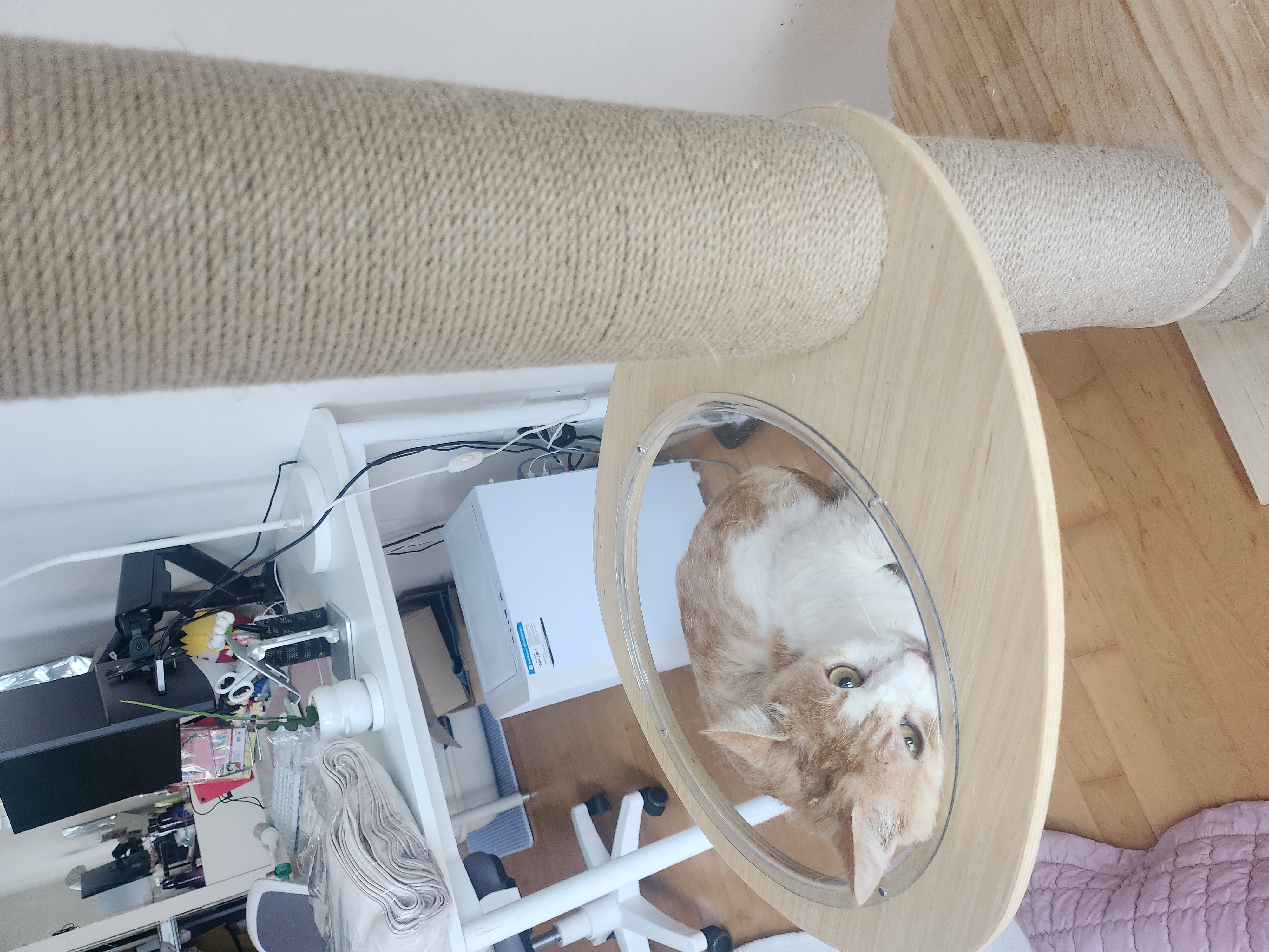 KakaoTalk_20250729_104531247_07.jpg
