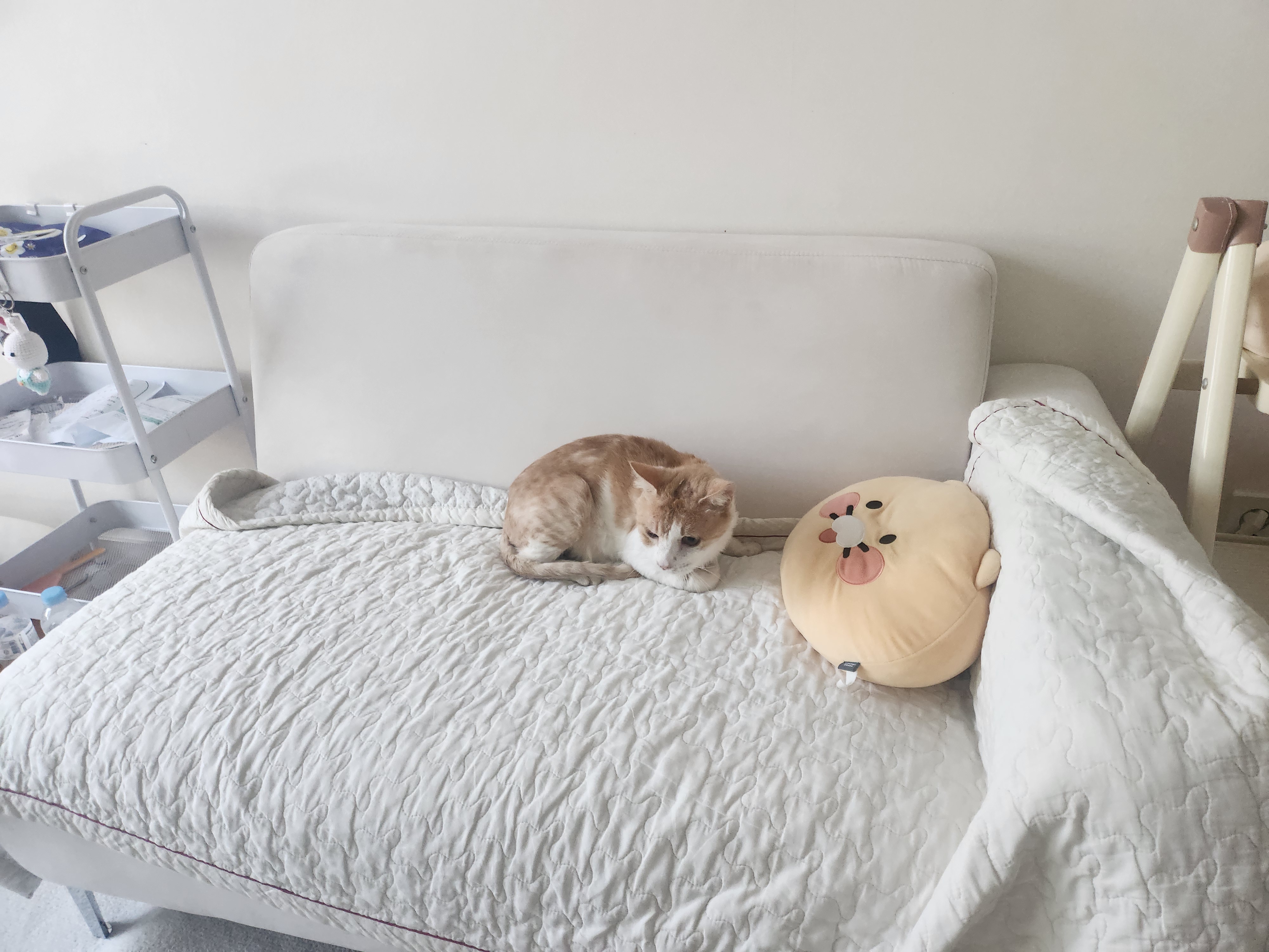 KakaoTalk_20250729_104531247_16.jpg