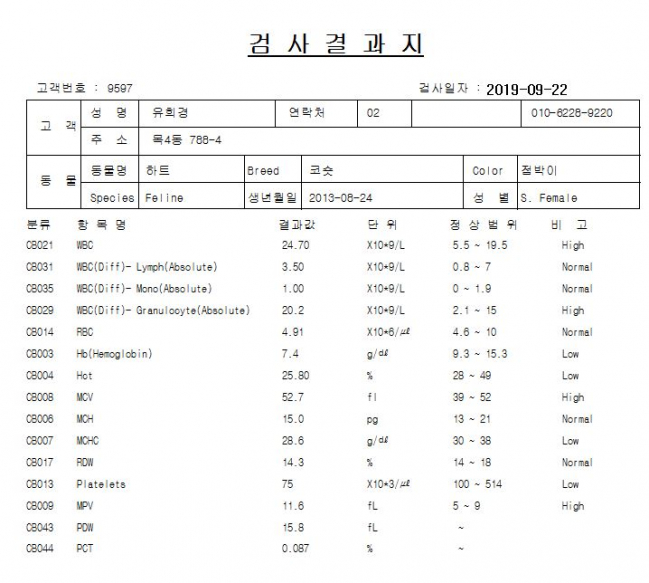 하트 검사 결과지.jpg