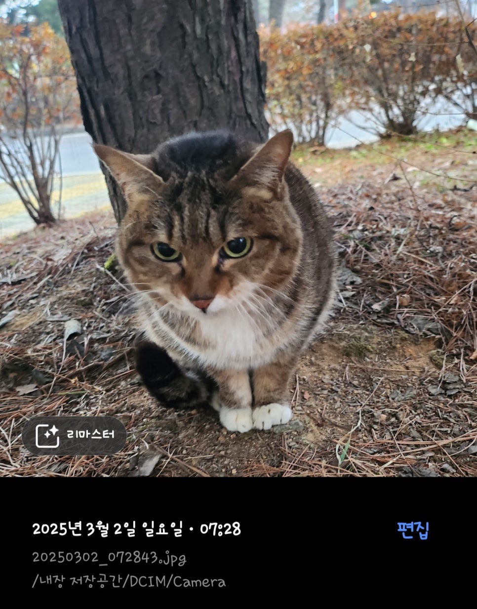 Screenshot_20250303_091317_Gallery.jpg