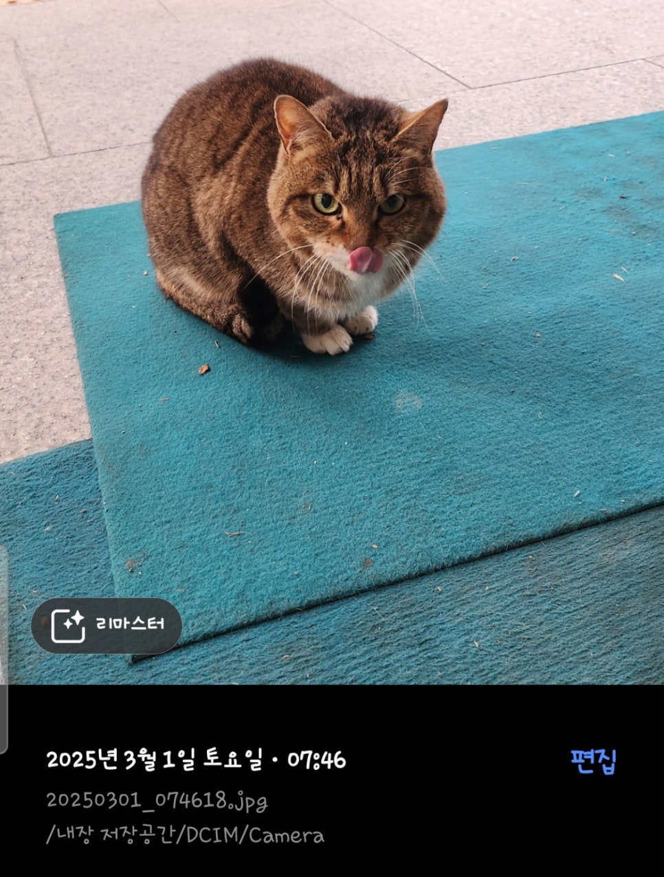 Screenshot_20250303_091340_Gallery.jpg