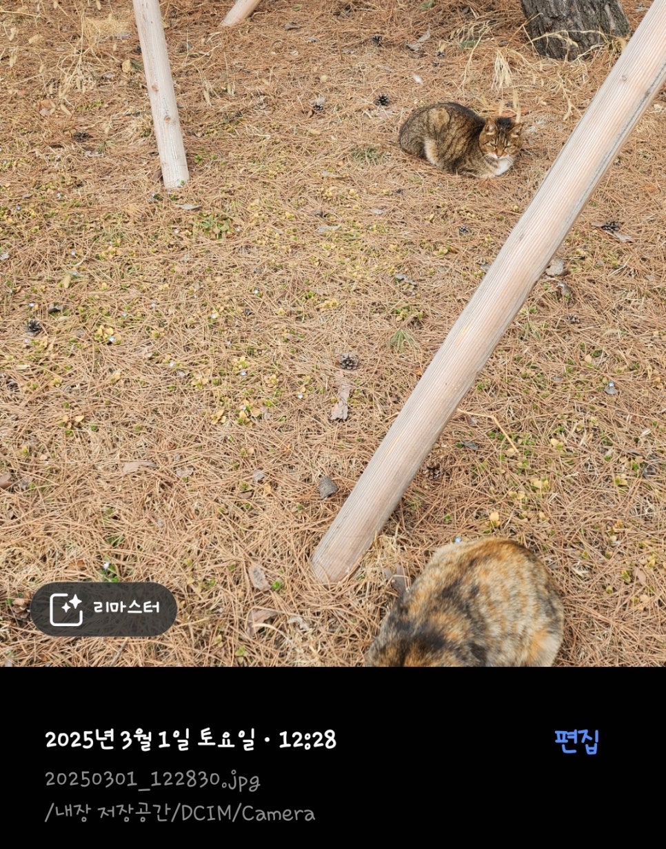 Screenshot_20250303_114035_Gallery.jpg