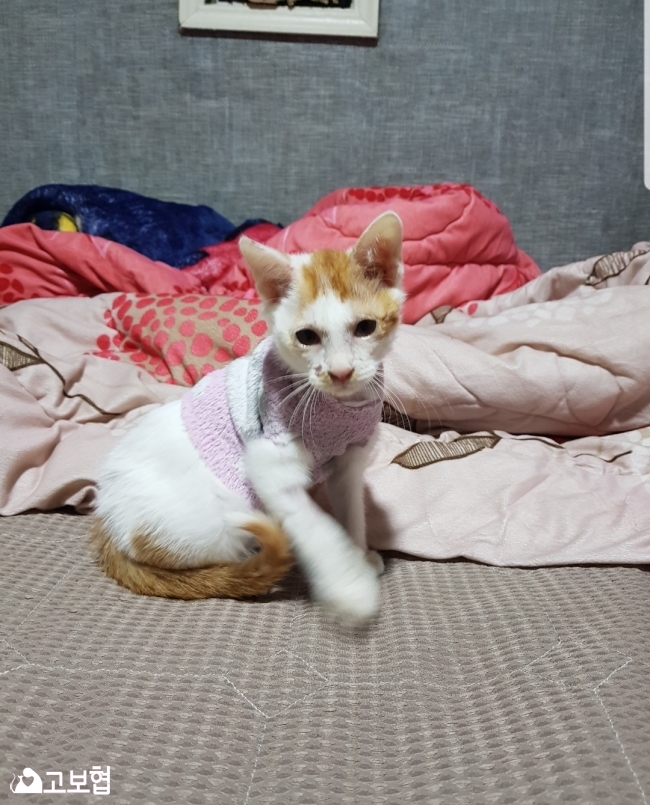 Screenshot_20180816-140347_Gallery.jpg