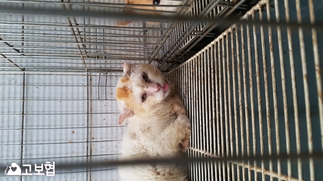 20180820_151928.jpg