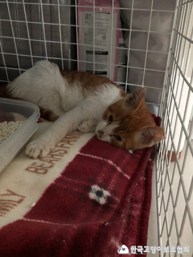 KakaoTalk_20180318_094544477.jpg