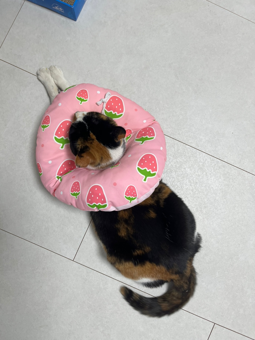 KakaoTalk_20250122_000606930_04.jpg