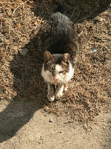 주민이 포획전.jpg