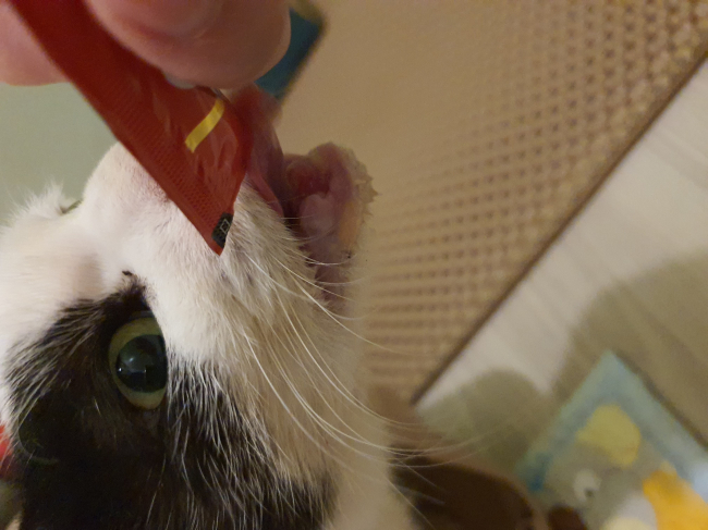 20201203_142529.jpg