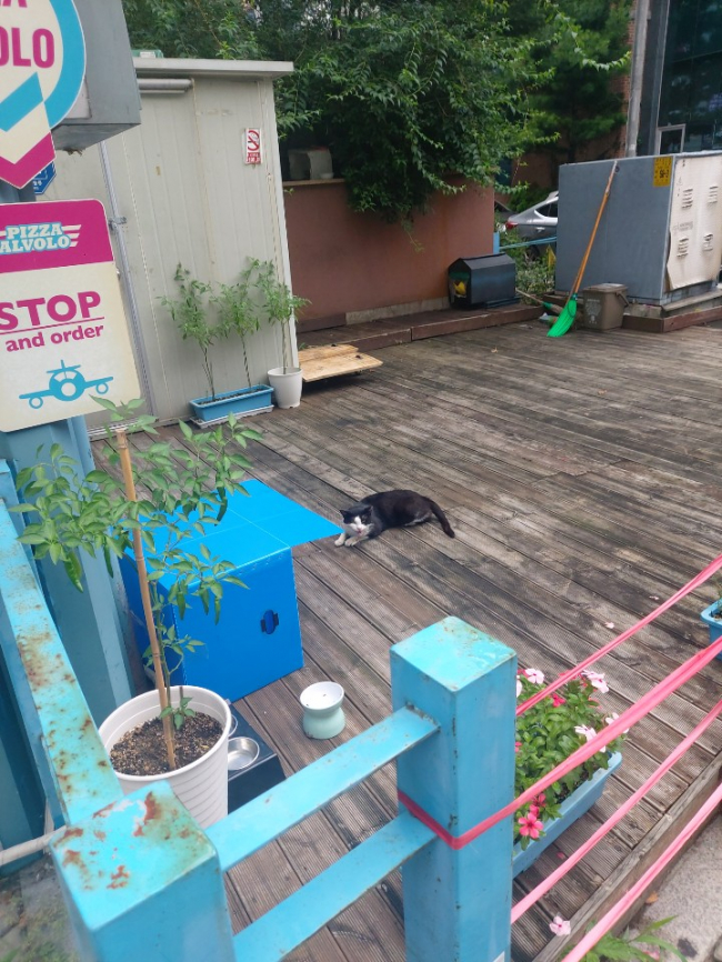 KakaoTalk_20220816_154211665.jpg