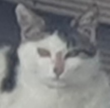 방사2.jpg