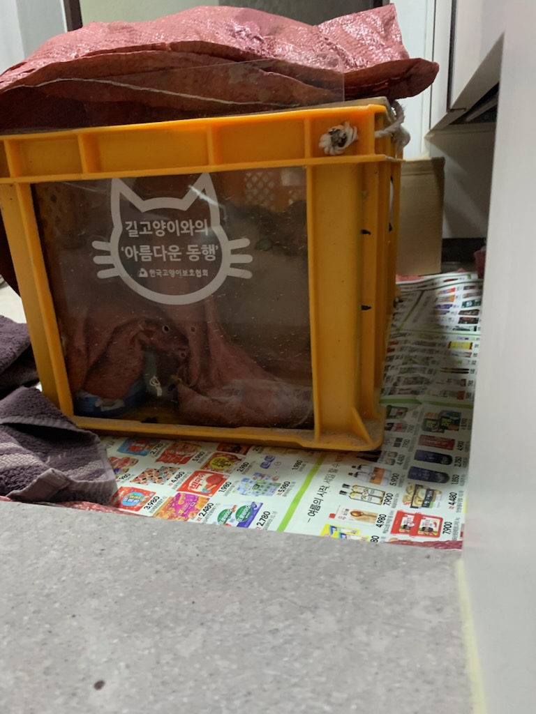 포획3.jpg