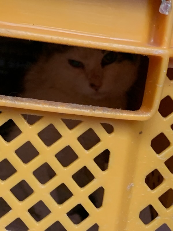 포획1.jpg