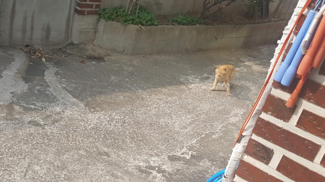 20190307_151003.jpg