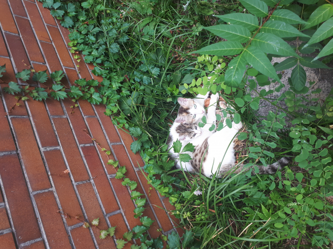 20190708_091234.jpg