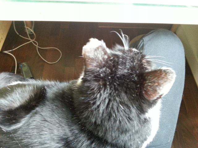 20160218_135249.jpg